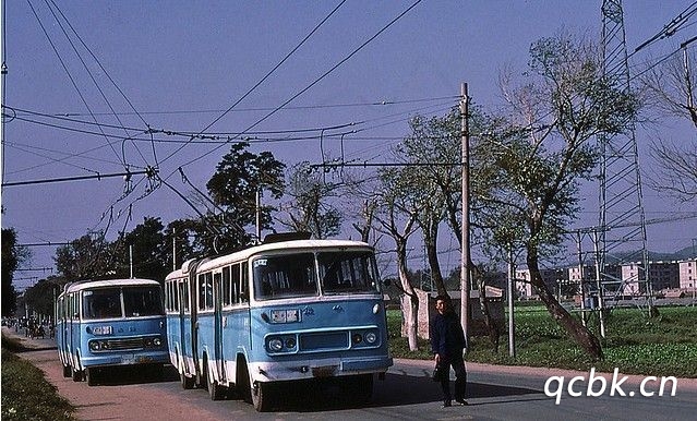 n照可以開什么車型