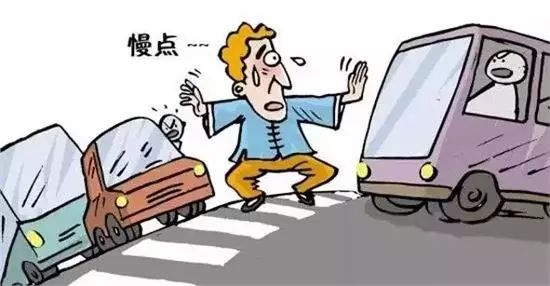 停車讓行標(biāo)志沒停車出了事故誰(shuí)的責(zé)任