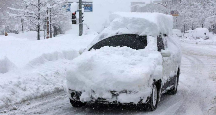 東北適合開新能源汽車嗎