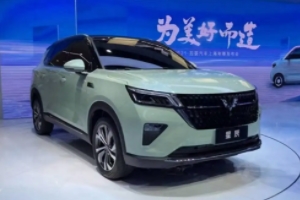 五菱星辰suv2022款價(jià)格及圖片 五菱星辰suv2022款新車(chē)售價(jià)6.98萬(wàn)