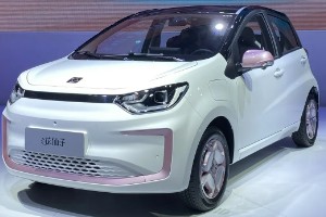 花仙子電動汽車價格圖片 2023款花仙子售價6萬(落地價7萬)