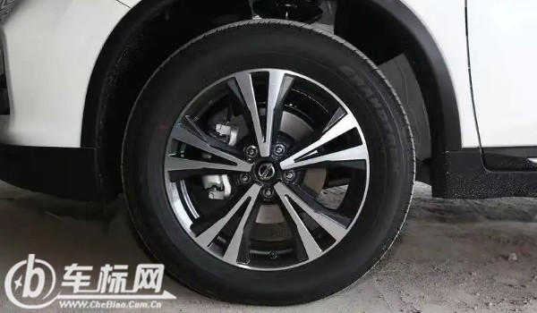 日產(chǎn)奇駿輪胎型號是多少 輪胎型號235/65 r17(鄧祿普輪胎)