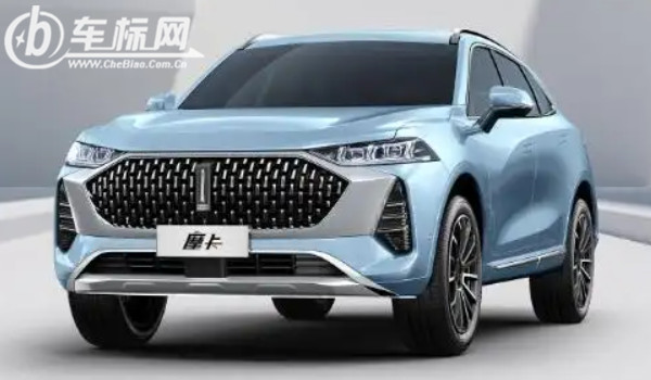 一個(gè)豎長(zhǎng)條的車標(biāo)suv 魏派汽車品牌(中國(guó)豪華suv品牌)